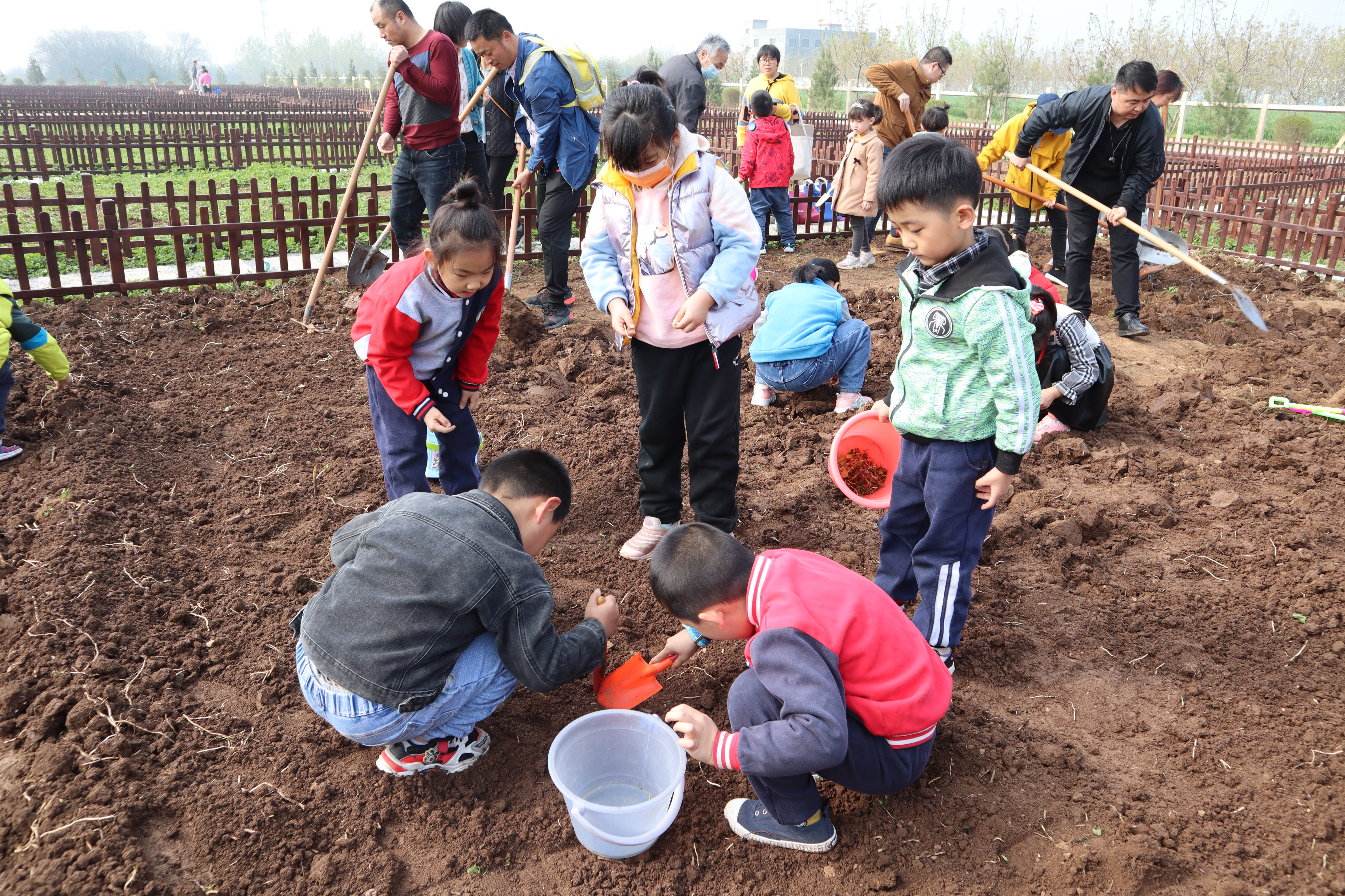 幼儿园农耕主题活动图片