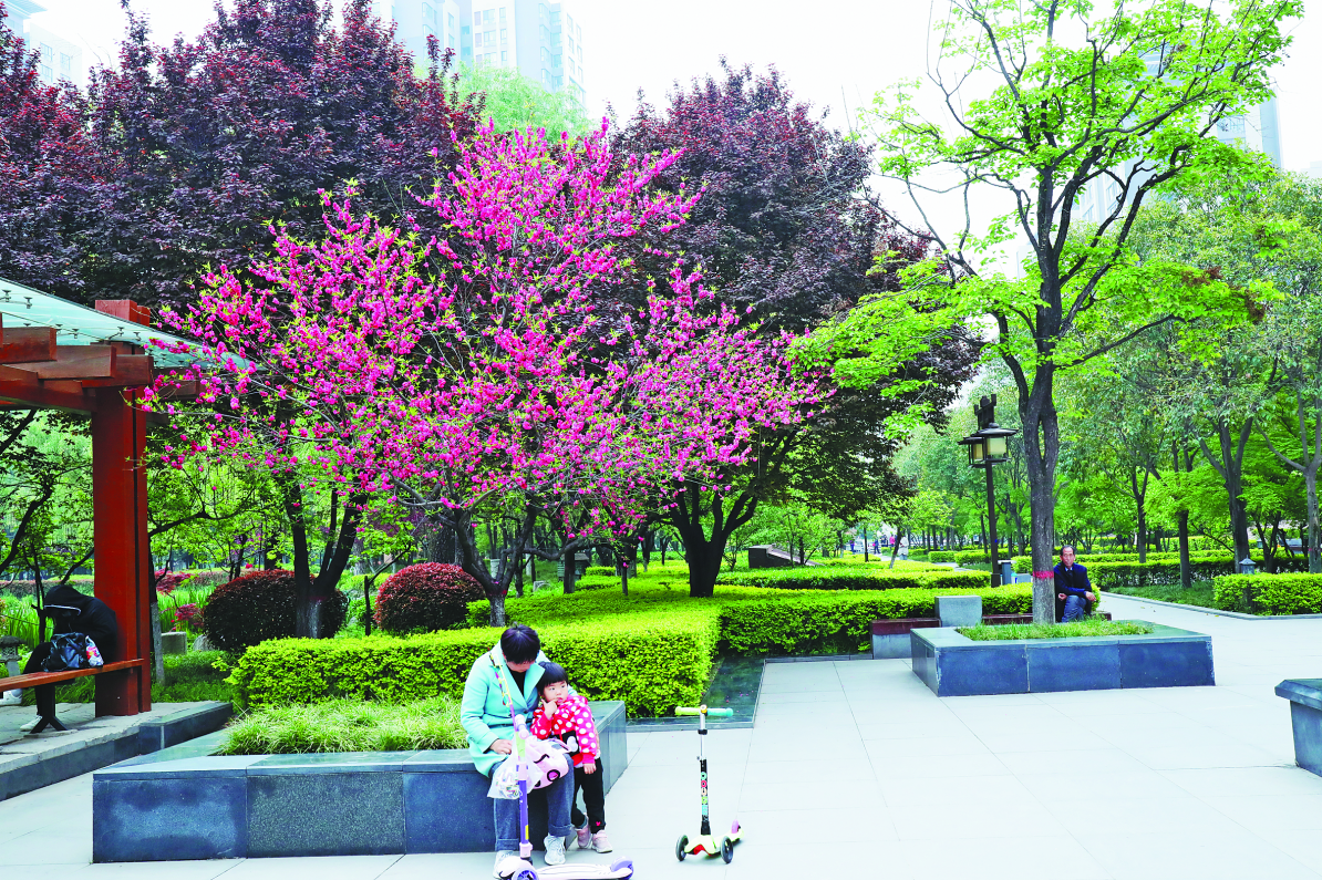 图片16.png