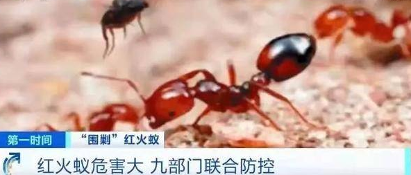 微信截图_20210412113018.png