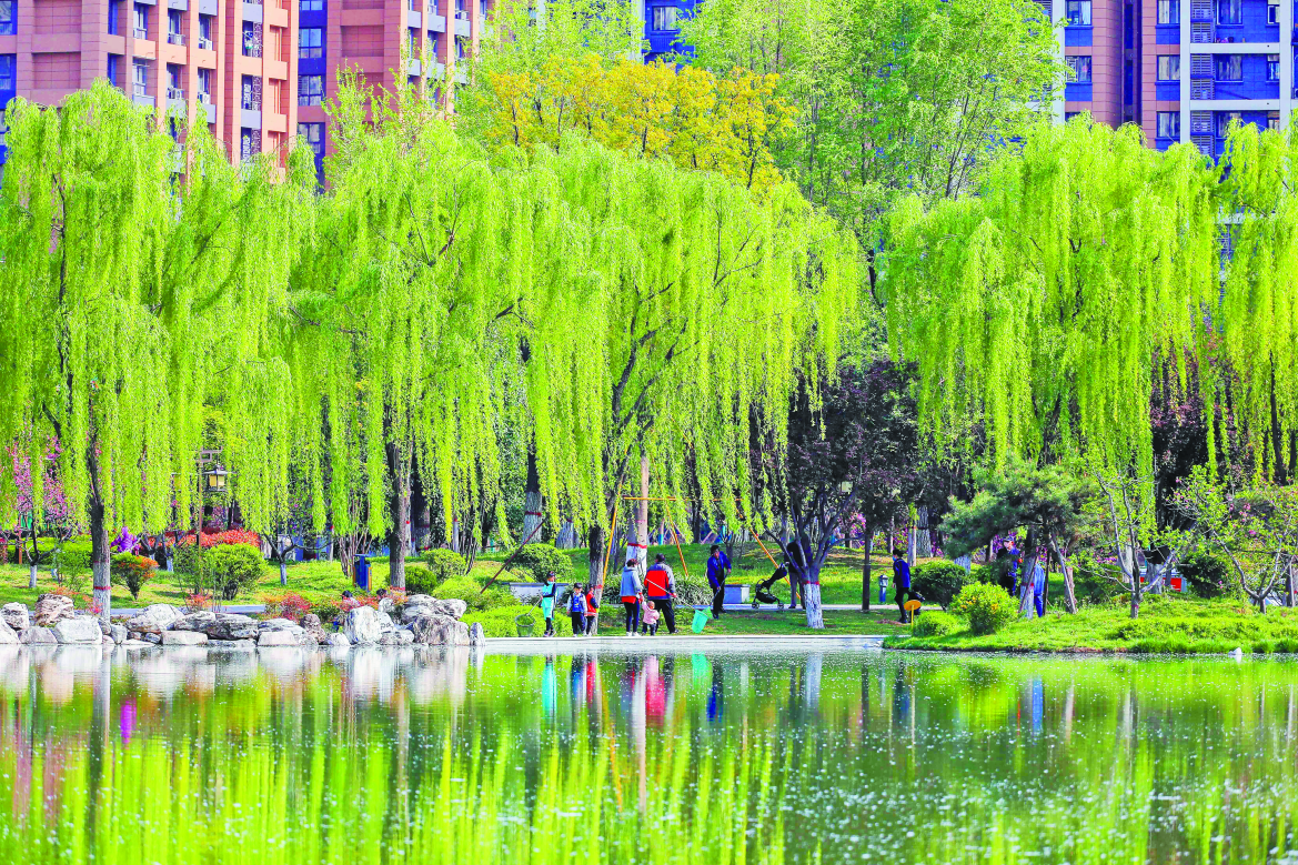 图片18.png