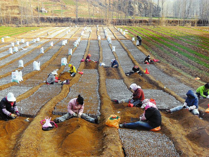 辛勤耕耘 播撒希望