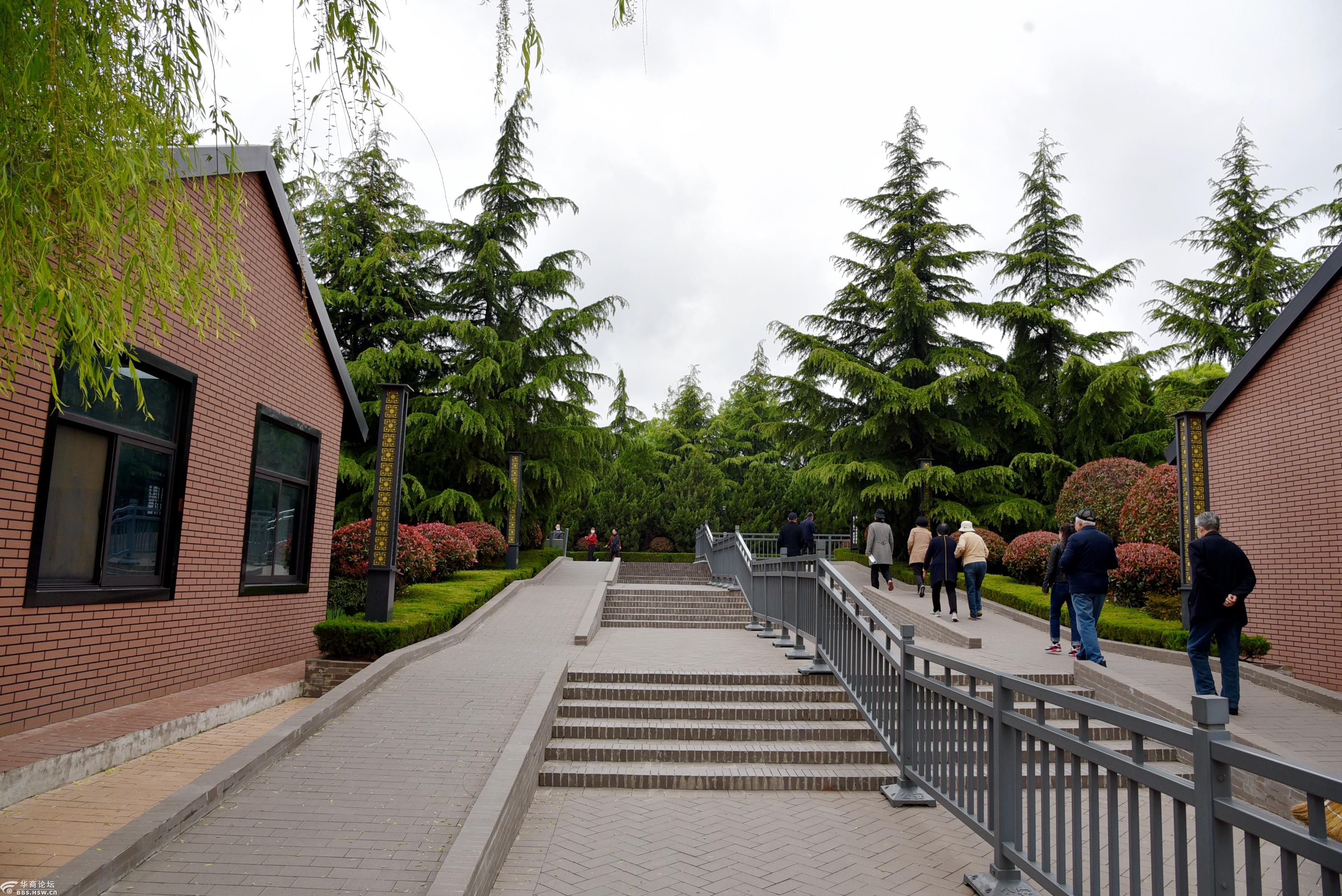 怀德公园景色美龙游天下飚天雷