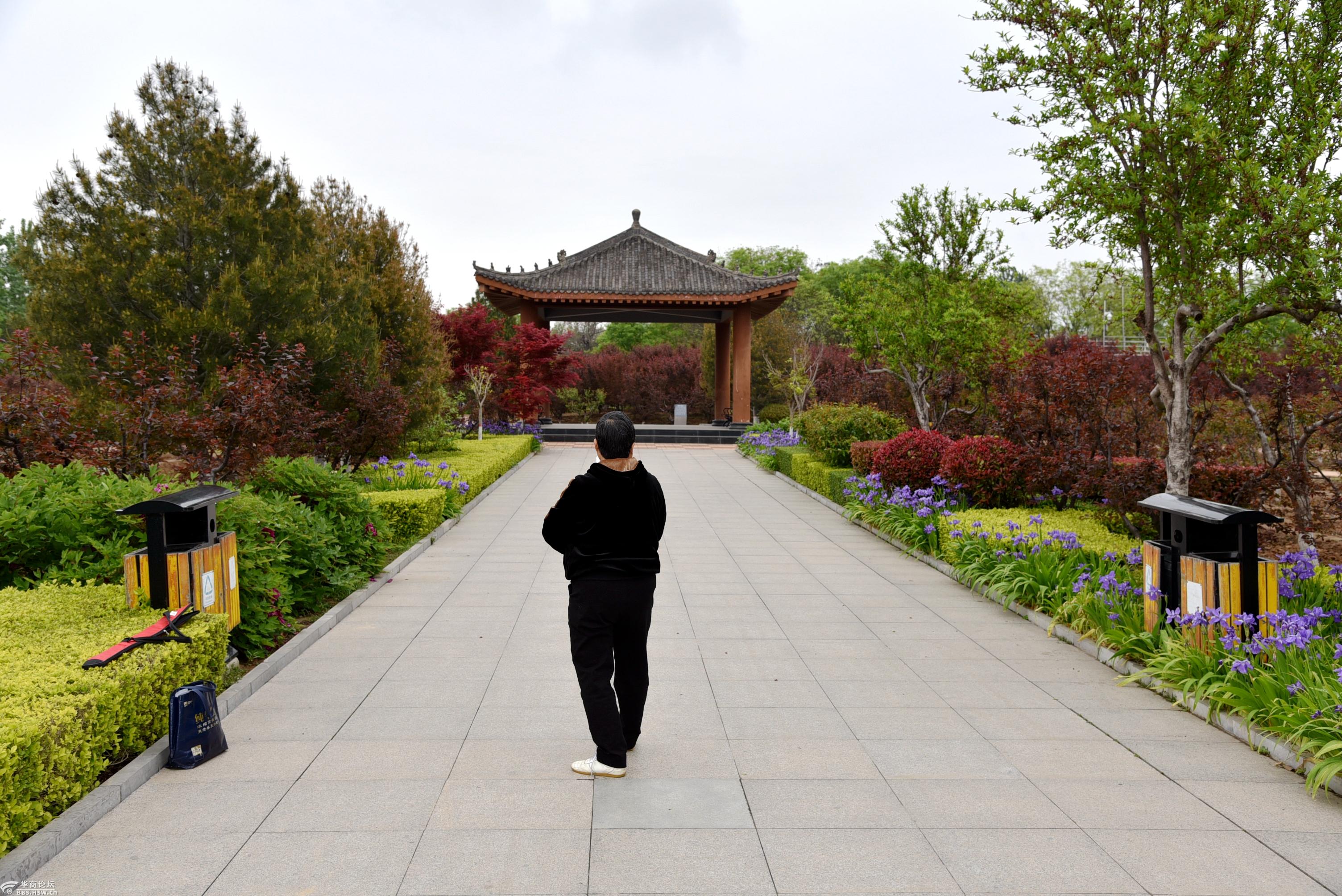 怀德公园景色美龙游天下飚天雷