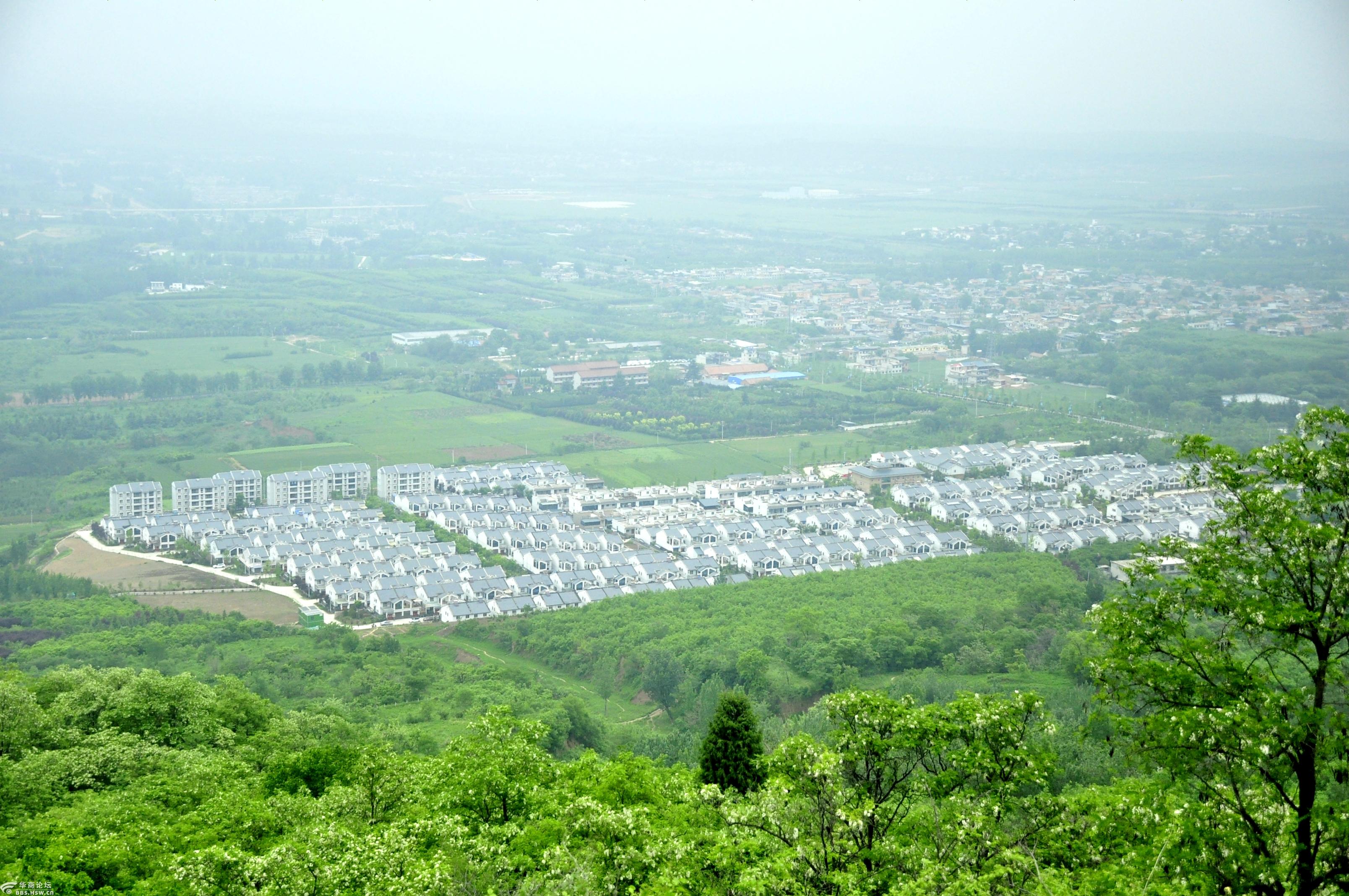 五台西梁捋槐花,财大泳馆"漂黄瓜"!