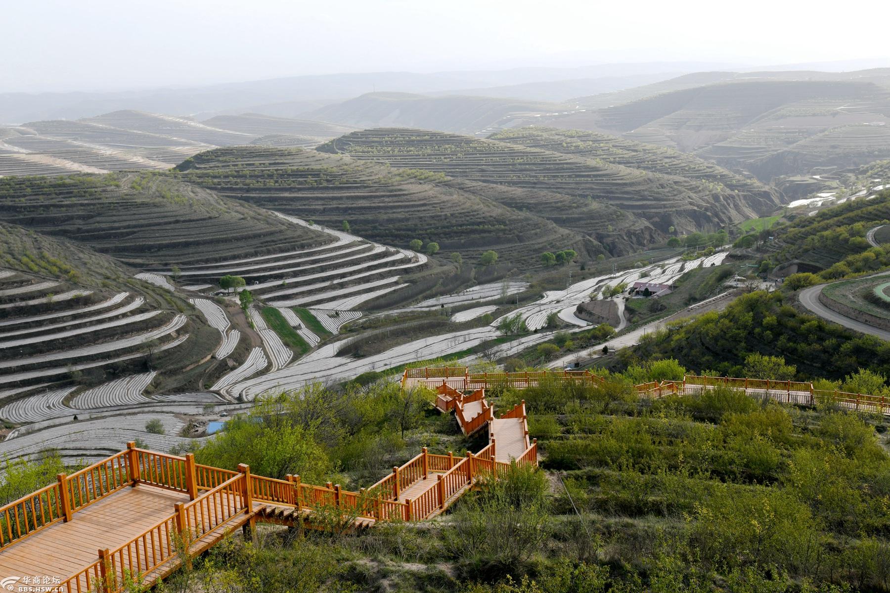 彭阳县金鸡坪百万亩梯田 就像一曲五线大谱,萦绕于天地之间-游山玩水