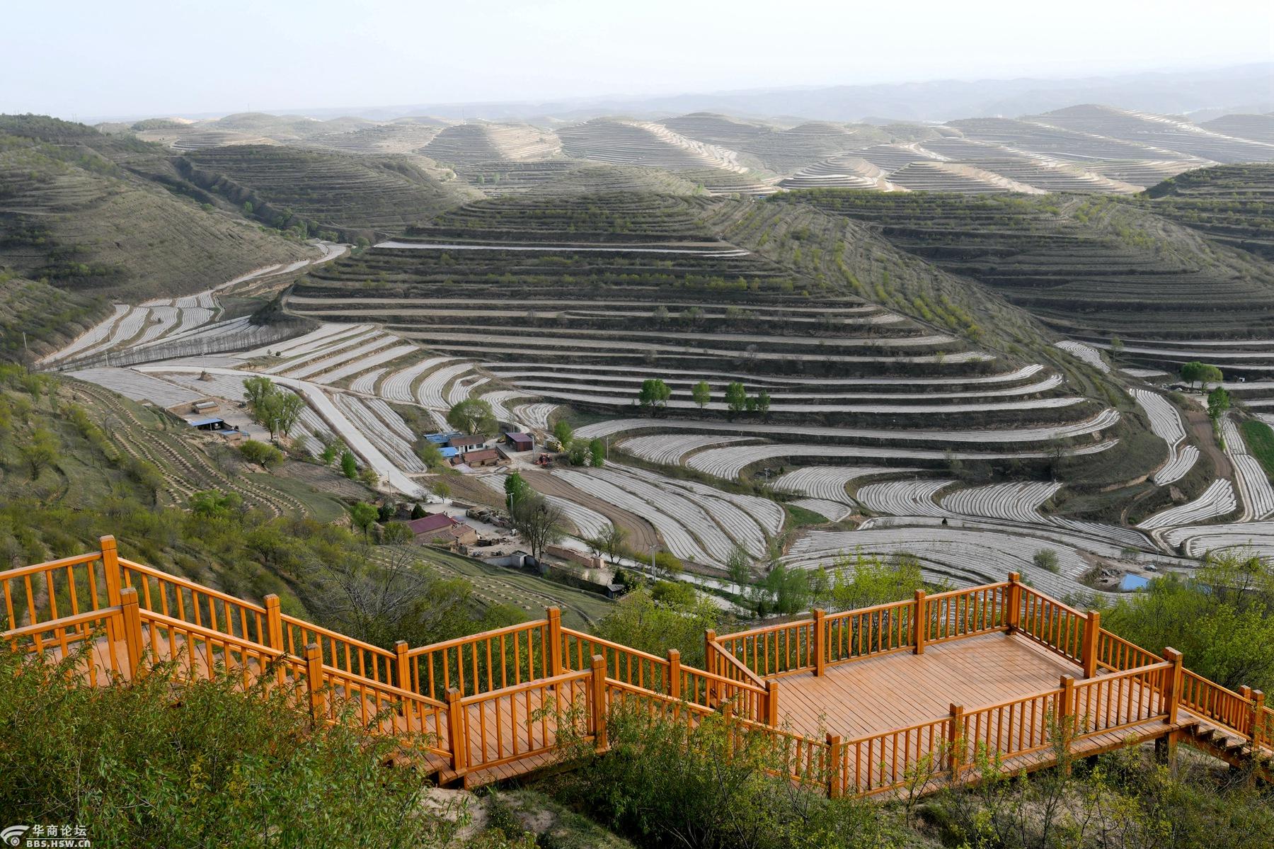 彭阳县金鸡坪百万亩梯田 就像一曲五线大谱,萦绕于天地之间-游山玩水