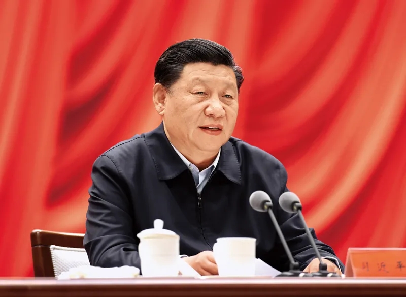 习近平的扶贫相册|这条“致富经” 习近平在广西考察时再次提起
