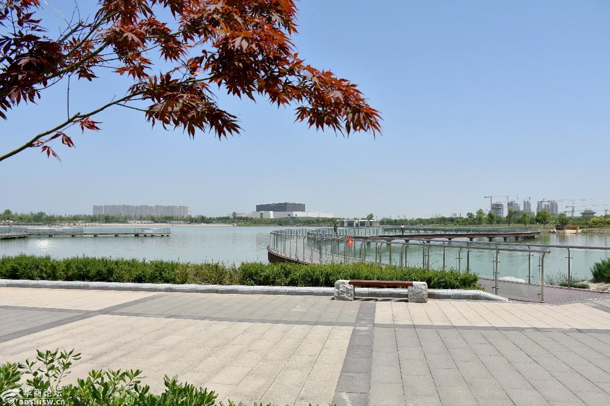 一个人的双照湖略显孤独的如意塔