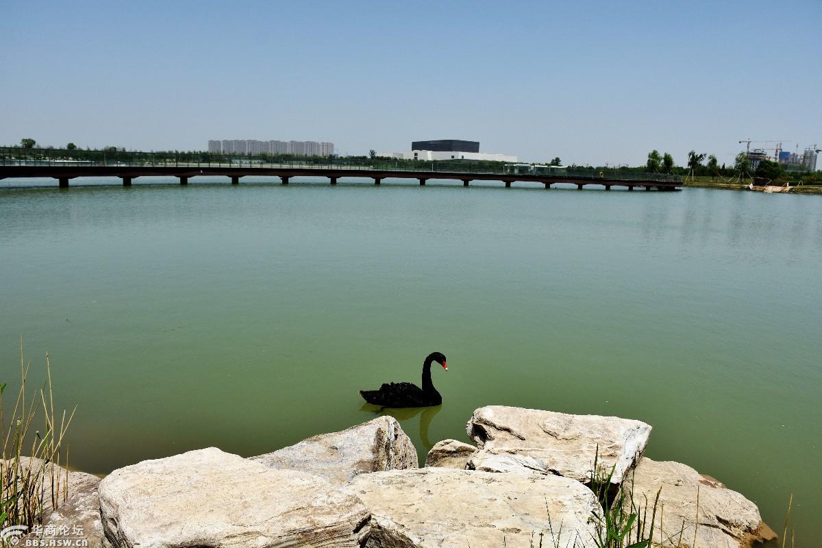 一个人的双照湖略显孤独的如意塔