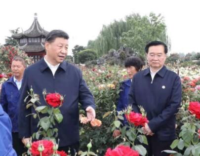 一见·看南阳的一花一“草”，因为重视这件大事