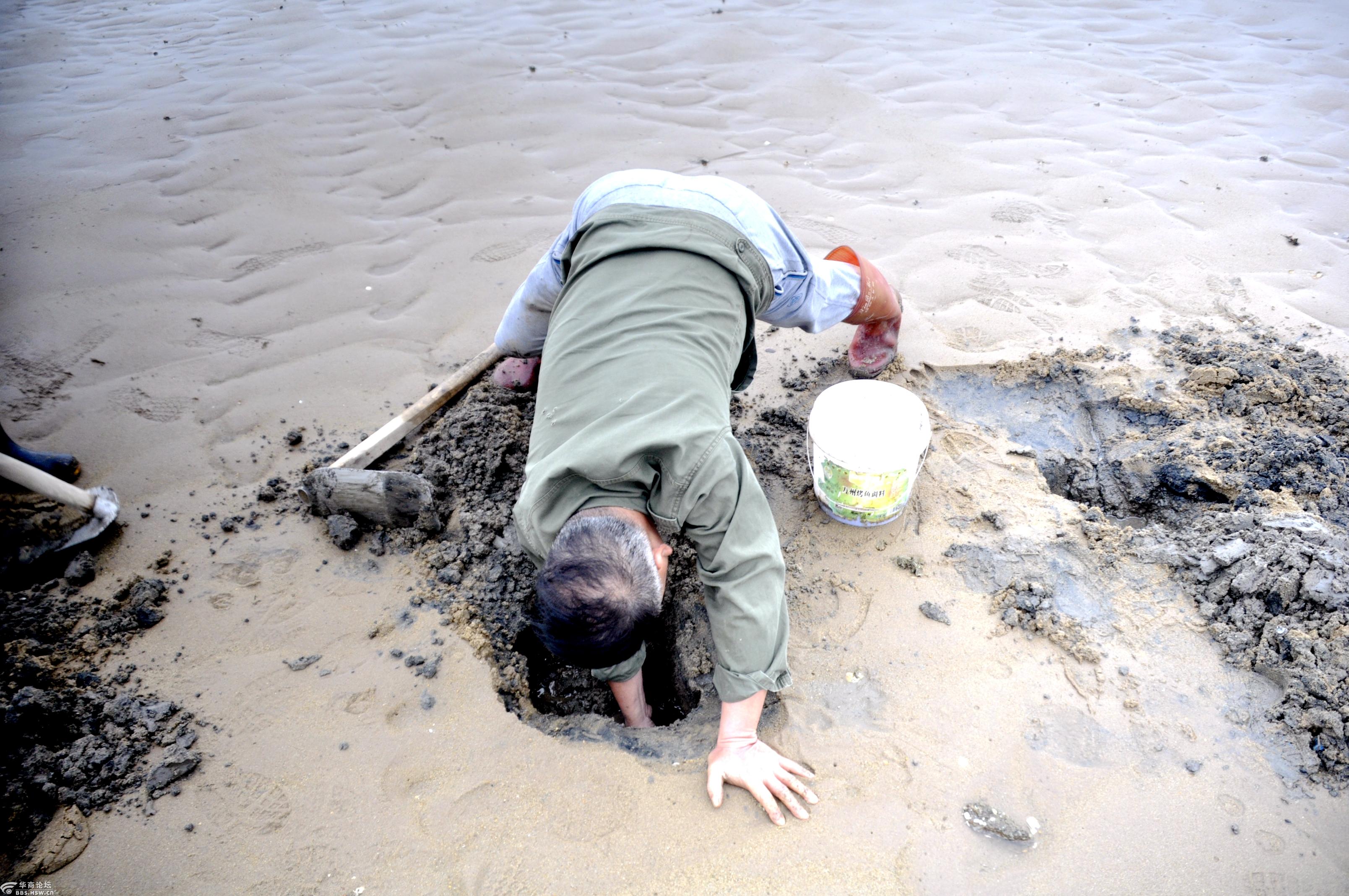 海防港滩挖沙虫,龙游天下气如虹.