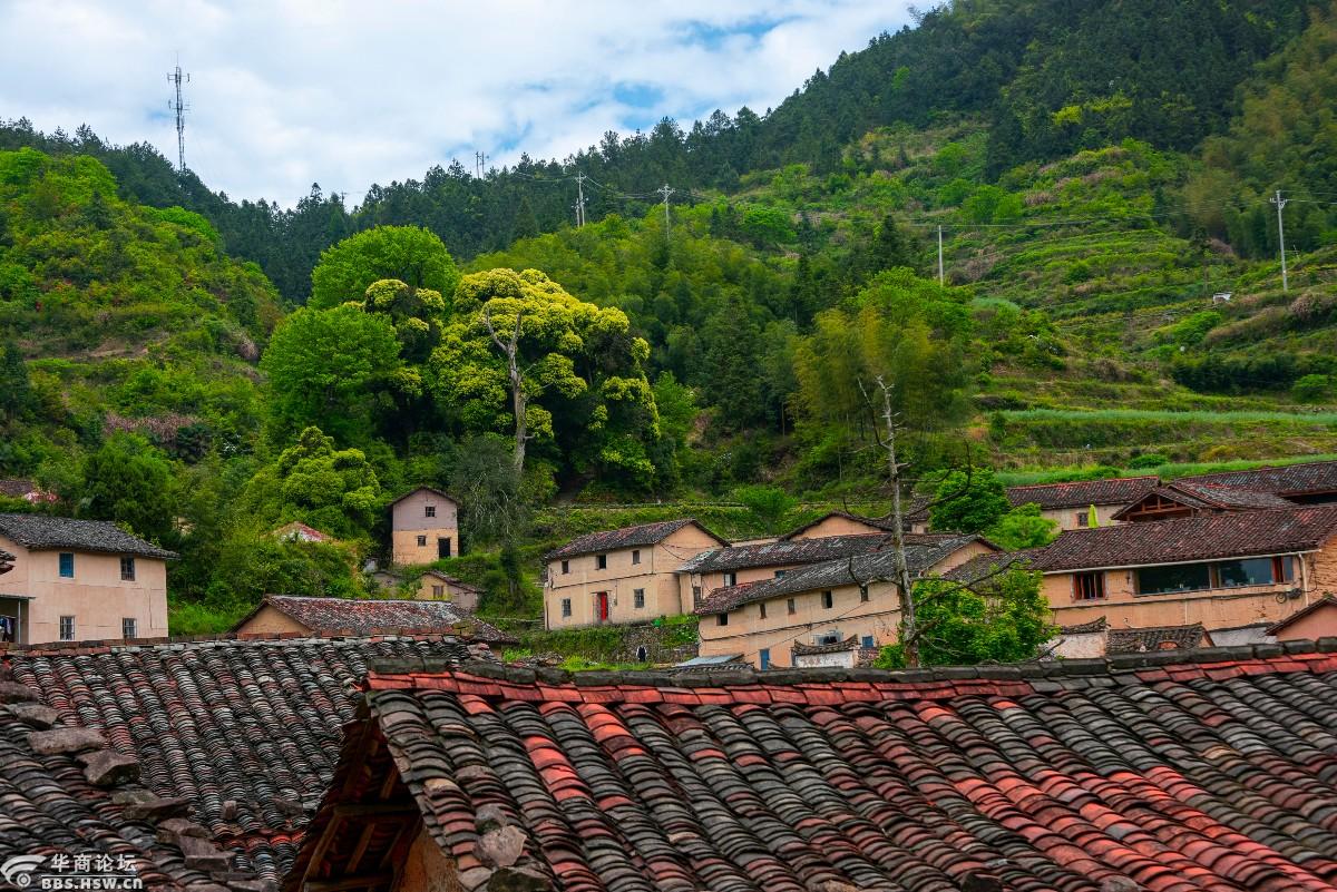 浙南行摄9最后的江南秘境平田村