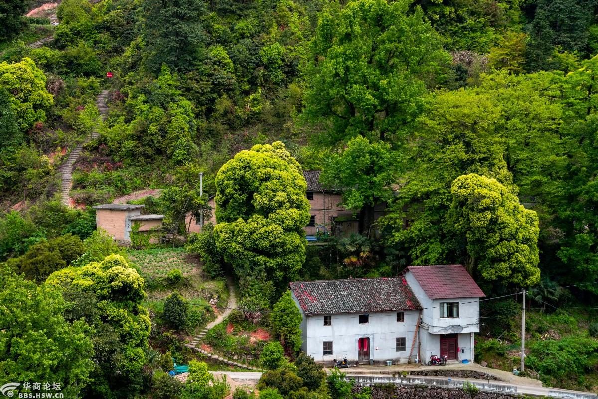浙南行摄9最后的江南秘境平田村