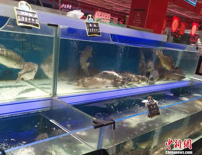 北京市丰台区一家超市的水产区。 中新网记者 谢艺观 摄