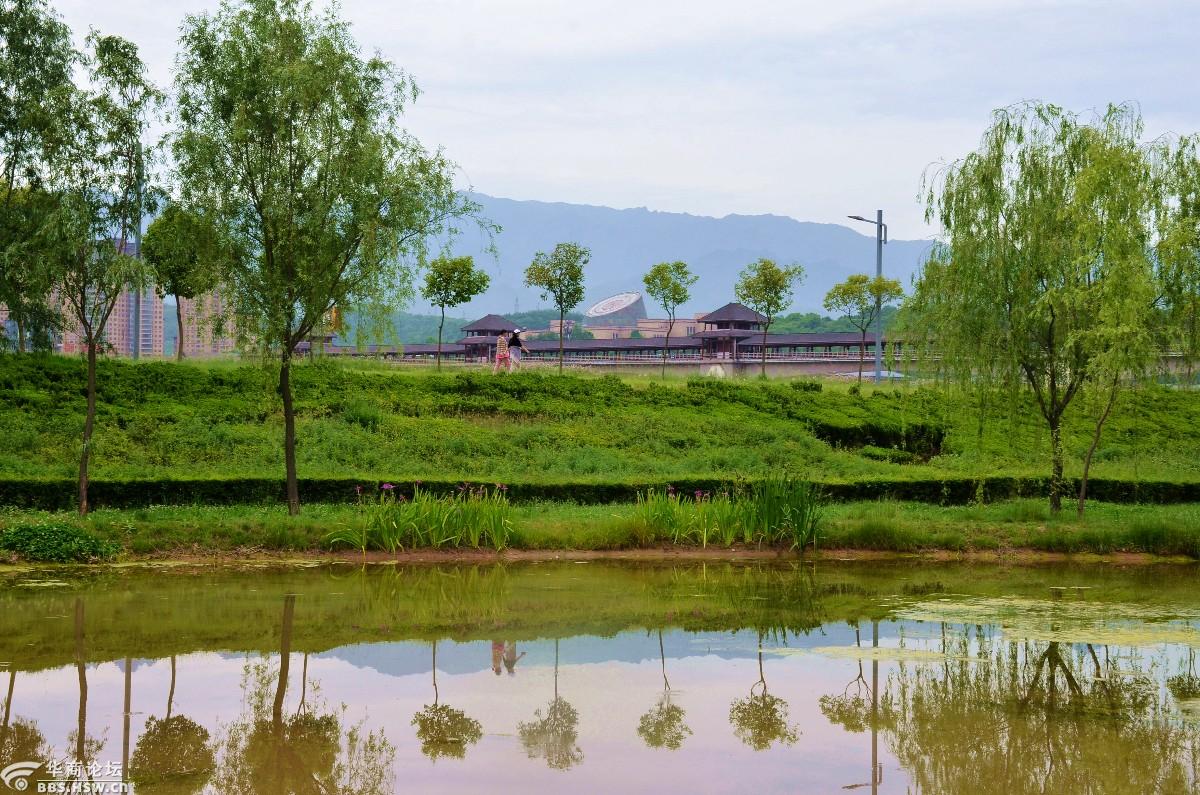 宝鸡渭河公园随拍一组