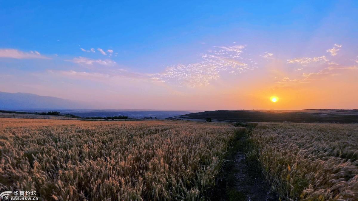晴日暖风生麦气绿阴幽草胜花时