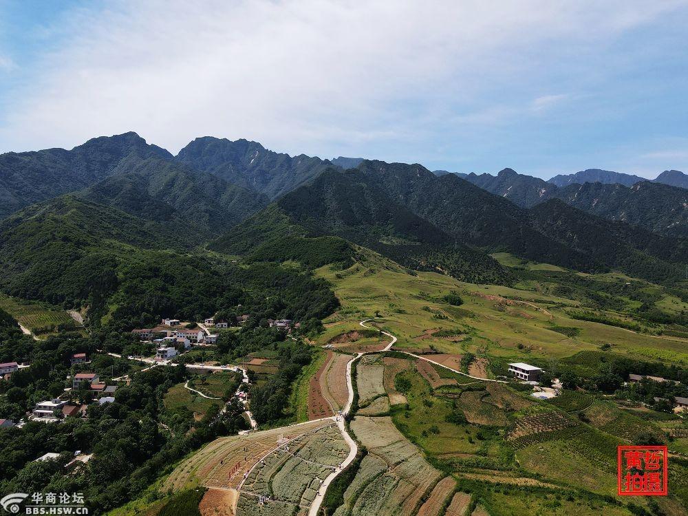 蓝田峪口村赏荞麦花