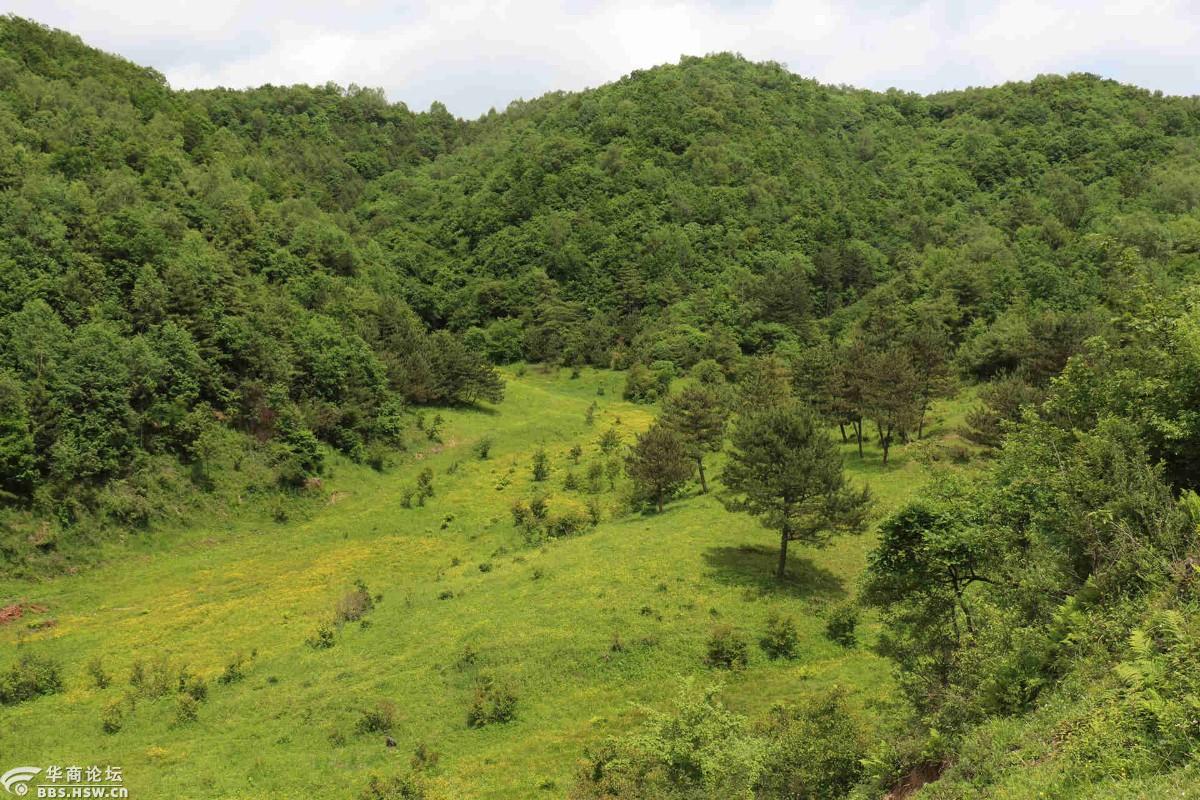 宝鸡市陈仓区拓石镇黑马池草原高山草甸2