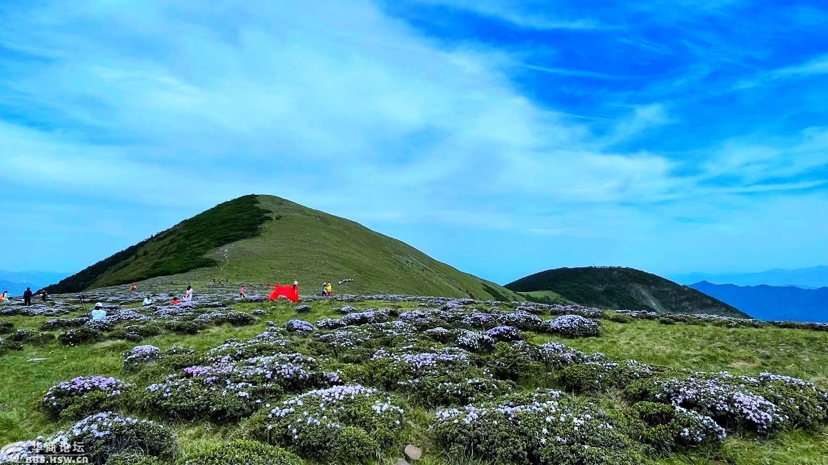 狗扒梁漫步西梁顶赏花