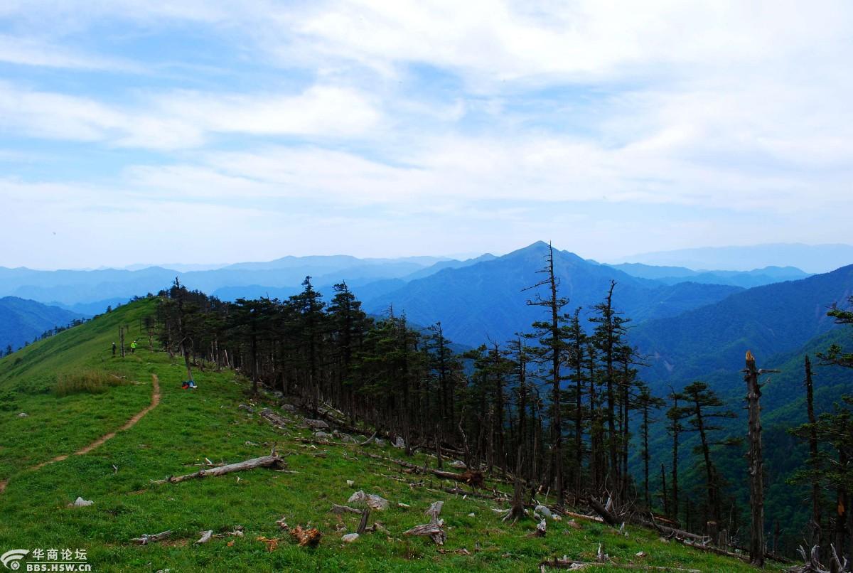 狗扒梁漫步西梁顶赏花