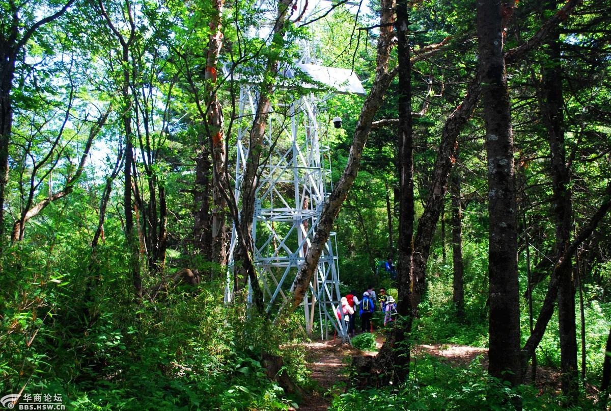 狗扒梁漫步西梁顶赏花