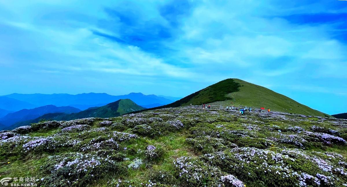 狗扒梁漫步西梁顶赏花