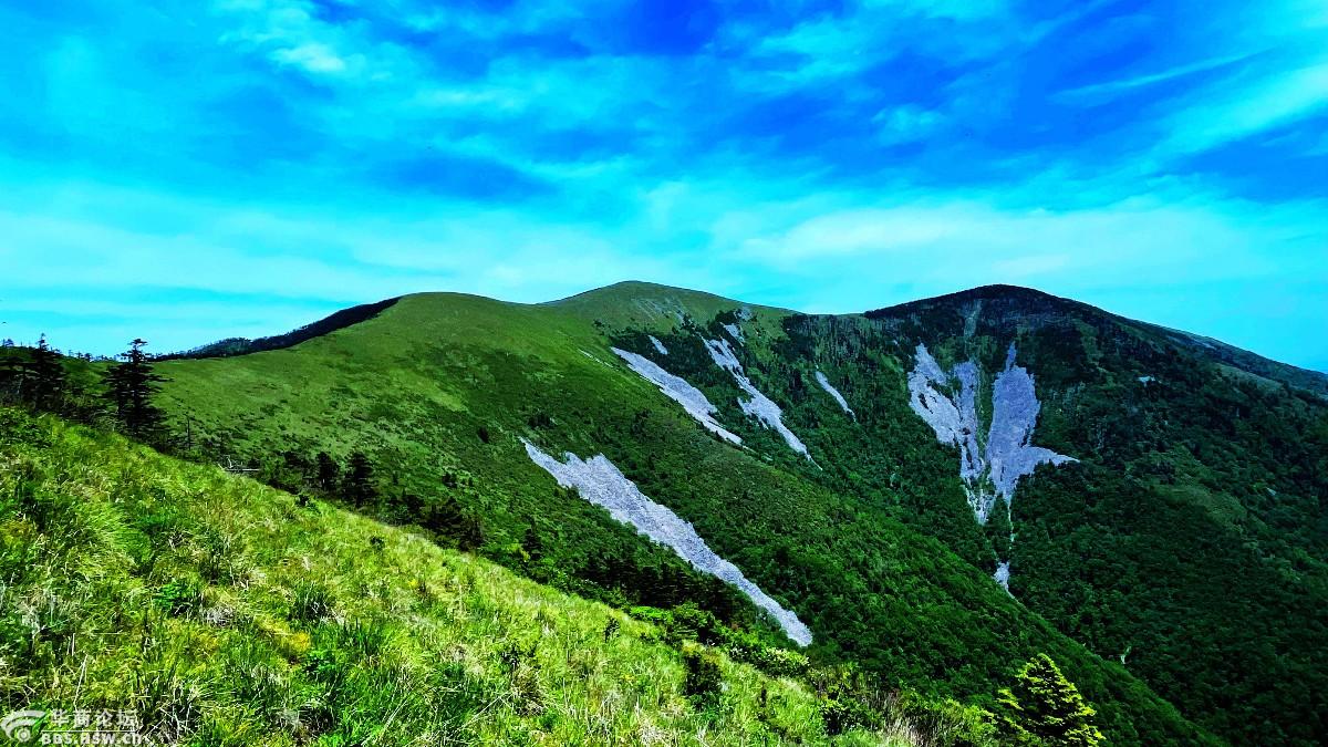 狗扒梁漫步西梁顶赏花