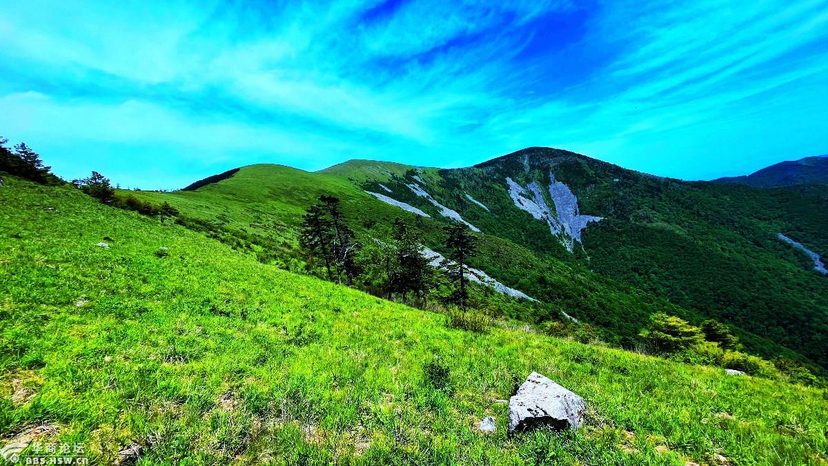 狗扒梁漫步西梁顶赏花