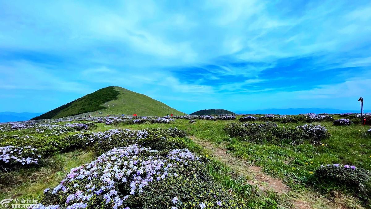 狗扒梁漫步西梁顶赏花