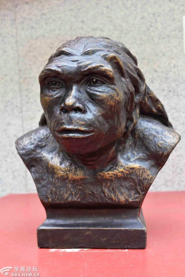 亚洲北部最早的直立人蓝田猿人