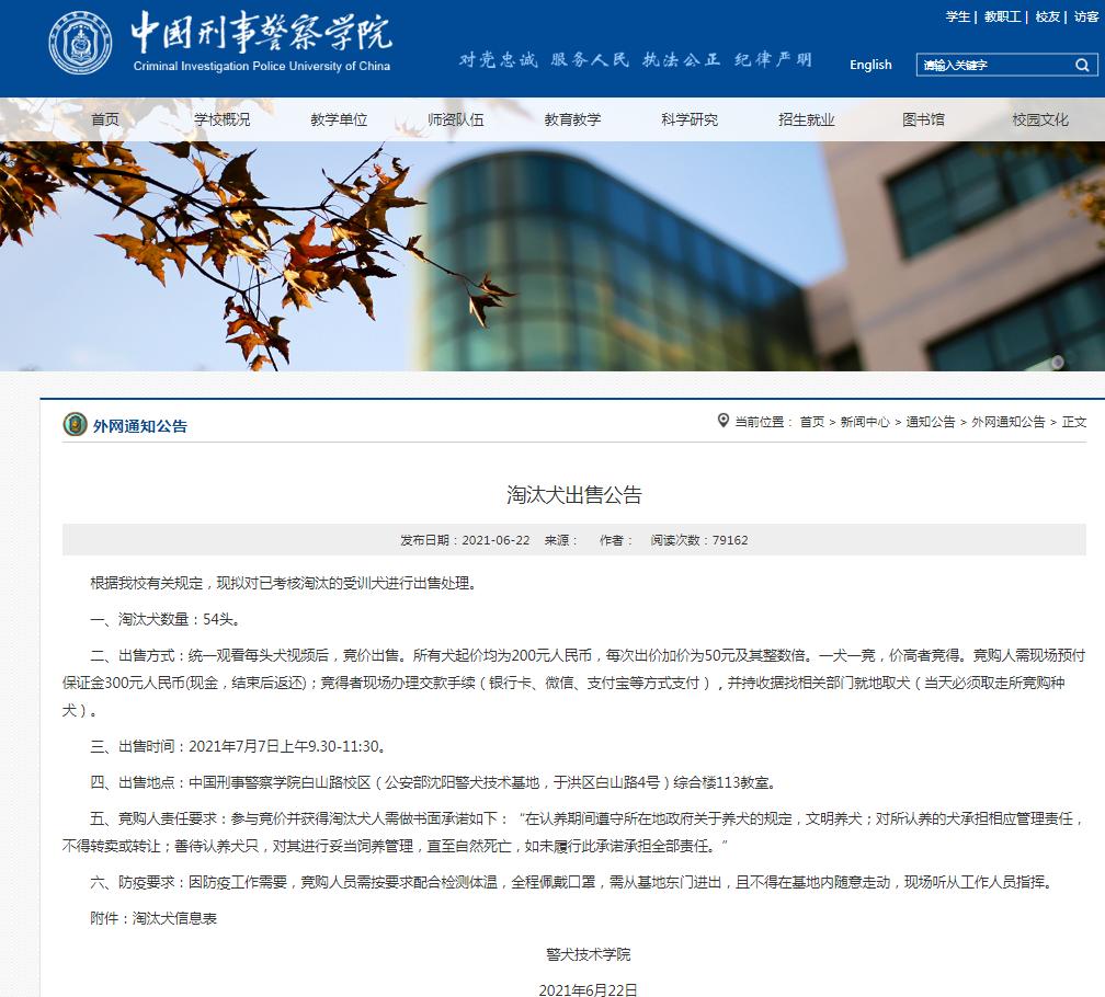 淘汰犬出售公告
