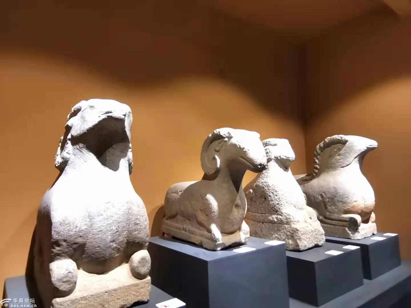 文化古城咱西安看看羊的博物馆