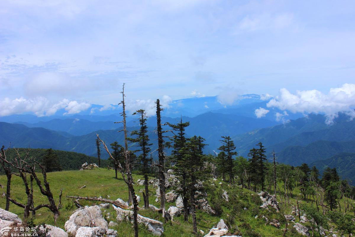 秦岭十峰之西光头山-游山玩水-华商论坛