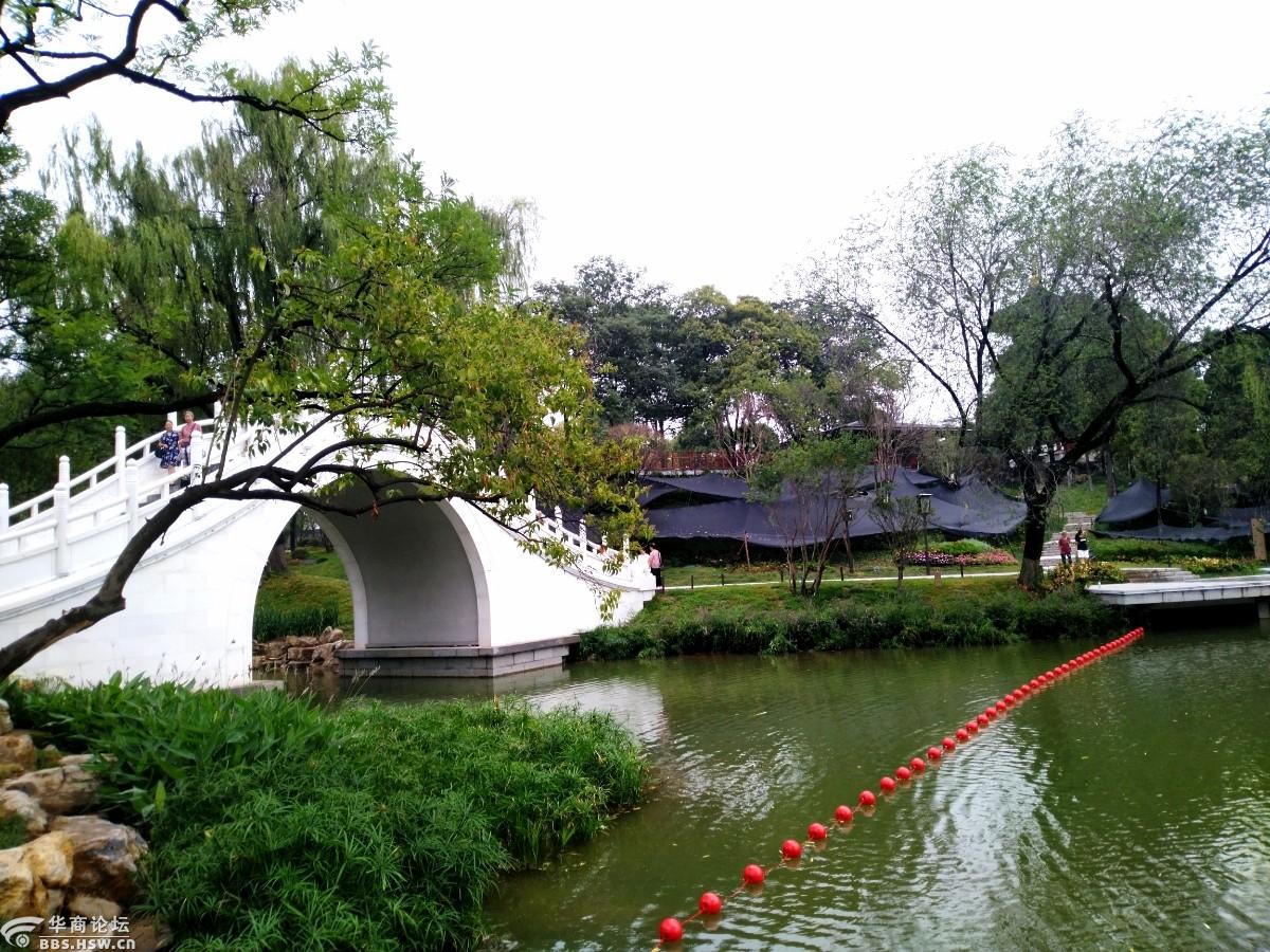 雨后新兴庆公园