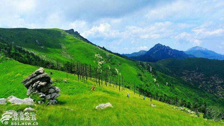 跑马梁7月31日周六秦岭最美童话圣地