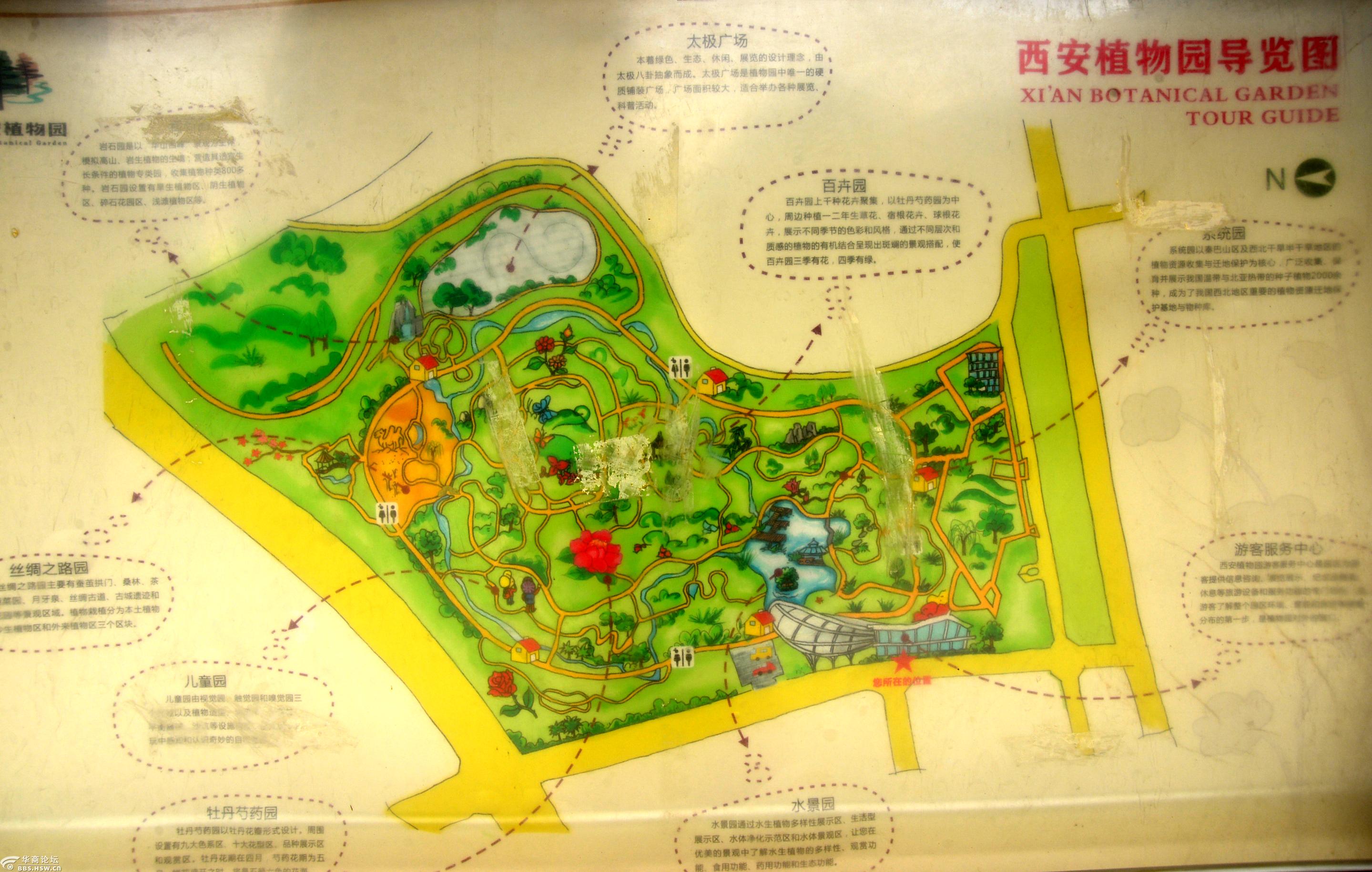 陕西西安植物园龙游天下飚王莲