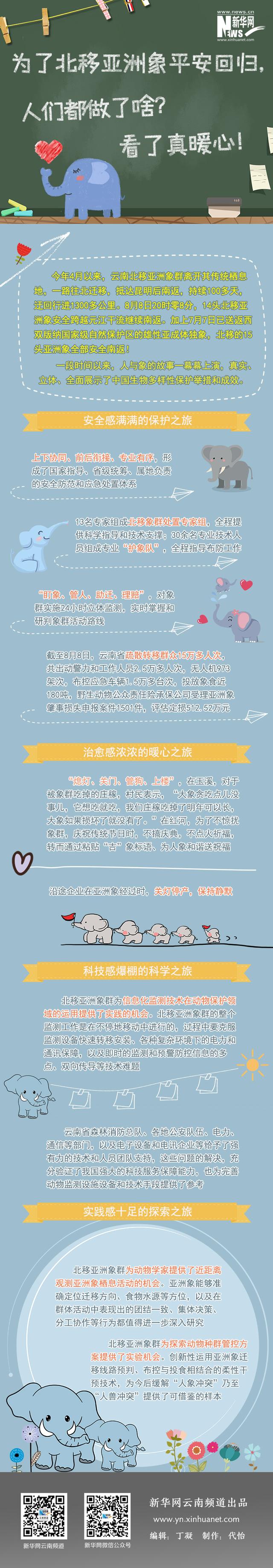 为了北移亚洲象平安回归，人们都做了啥？看了真暖心！