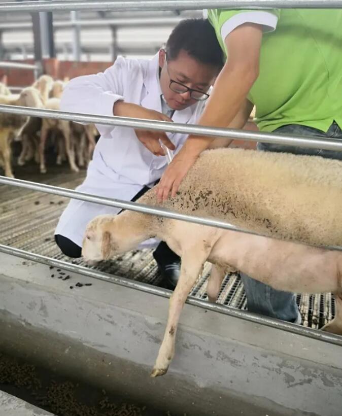 QQ截图20210820222706.jpg