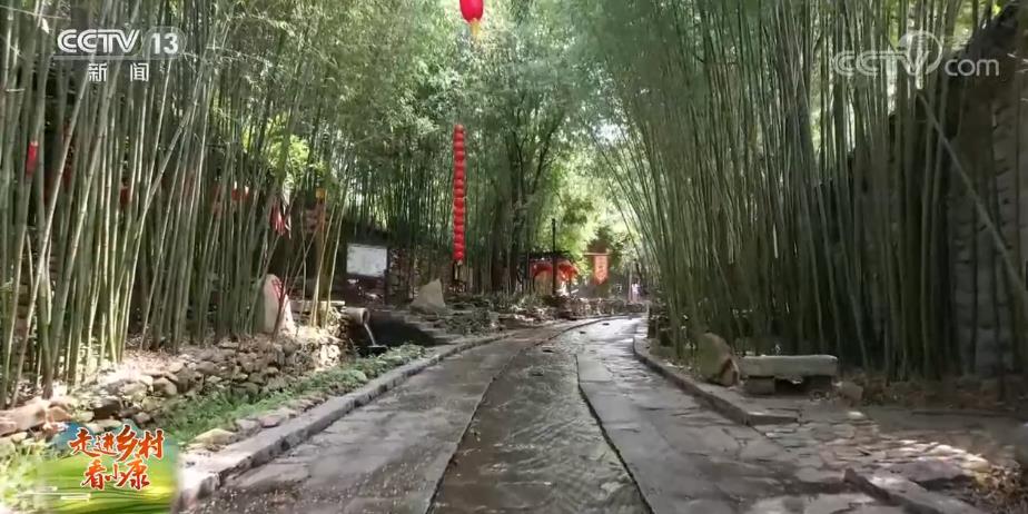 【走进乡村看小康】山东临沂：竹风泉韵绕村落 生态旅游富乡邻