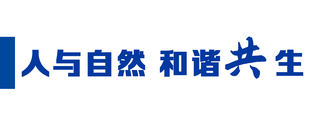 bb2026438173b2c24882e21a92d086a8.png
