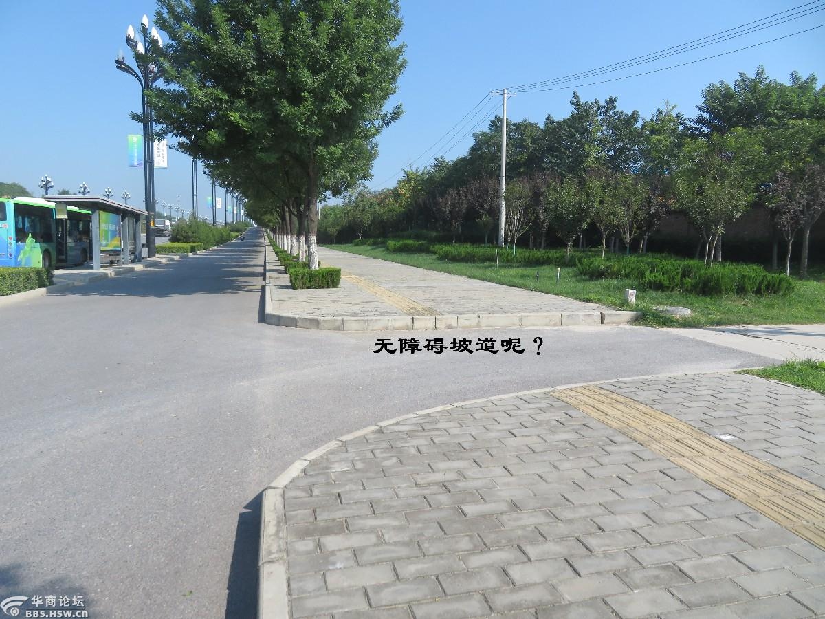 请看秦汉新城泾渭大道的盲道