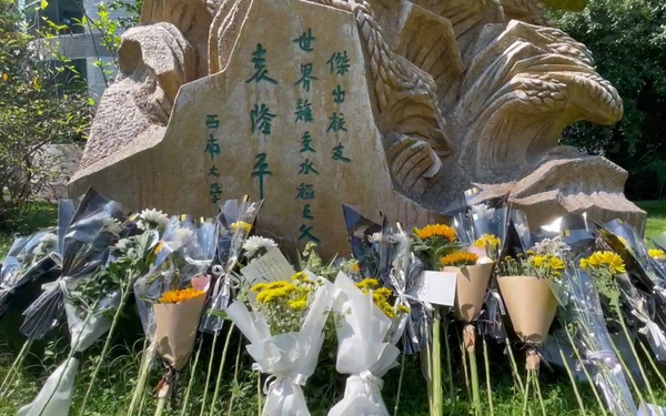 华商头条|中国农民丰收节 西南大学袁隆平雕像前满是鲜花