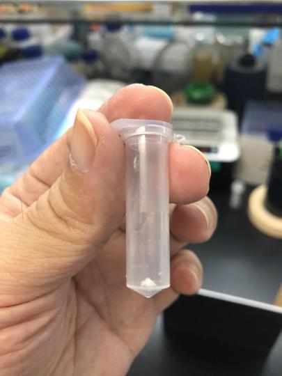 重大突破！中国首次在实验室实现人工合成淀粉