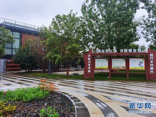 源田梦工场田园综合体园区入口处，道路干净整洁。新华网 詹婧 摄
