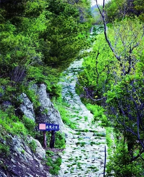 华商头条|柞水打造最美乡村景观路