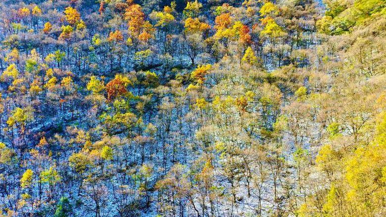 华商头条|保护秦岭·关爱黑河 20余家媒体雪中实地探访黑河生态保护感受山美水清