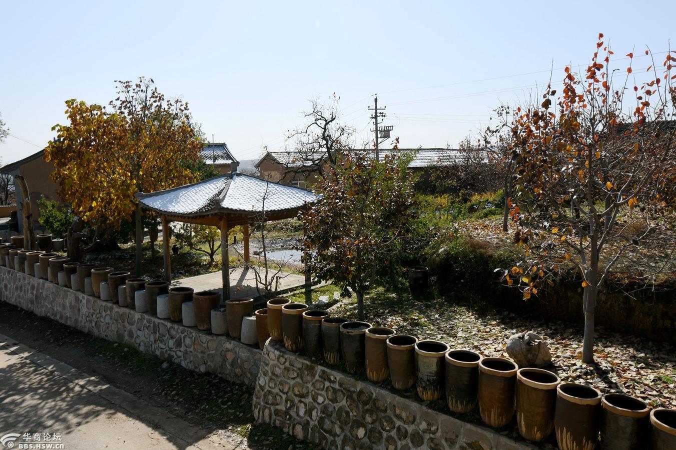 雪后游览柿子之乡富平县曹村镇