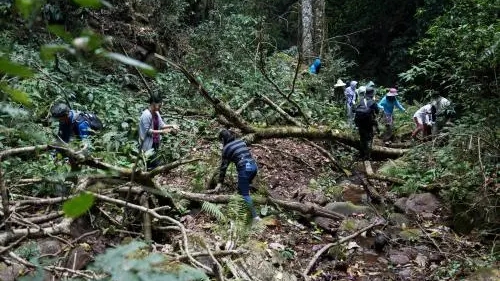 华商头条|中国地质调查局4人在云南普洱野外作业时失联 当地正在搜救