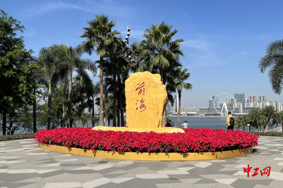 【同心粤港澳 携手大湾区】年轻且古老的活力深圳——“同心粤港澳 携手大湾区”网络主题活动侧记