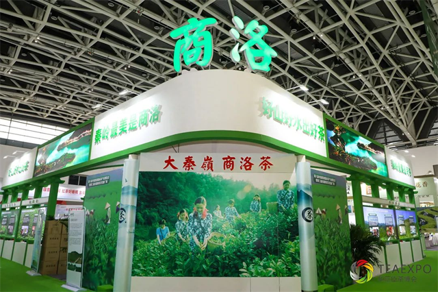 图片12.png